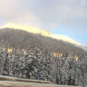 Meet your Posher, Leif